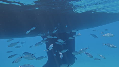 underwater view looking up to a yacht in lefkada, greece