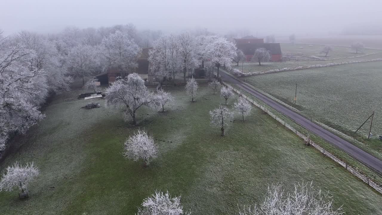Aerial flyover icy garden in rural farmstead in winter. House with barn in background. Snowy and frozen leafless trees on misty day. Wide shot.