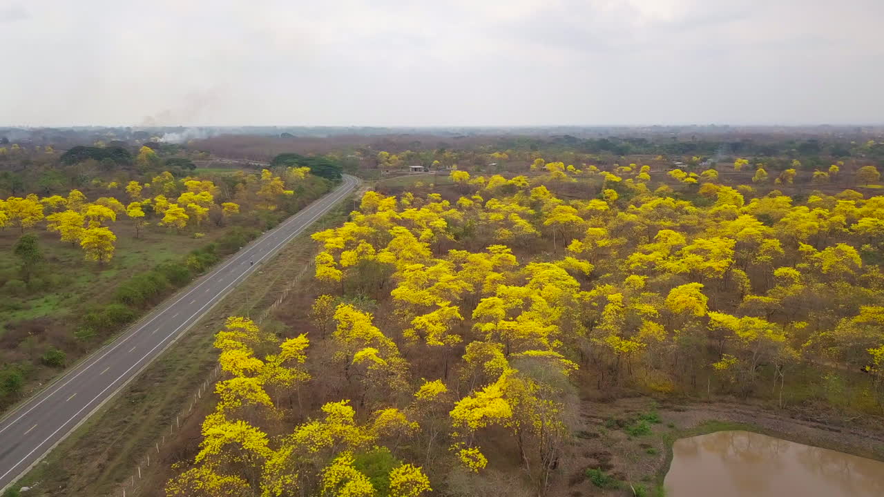 colime, 에콰도르에서 농원 라스 하브라스의 조감도