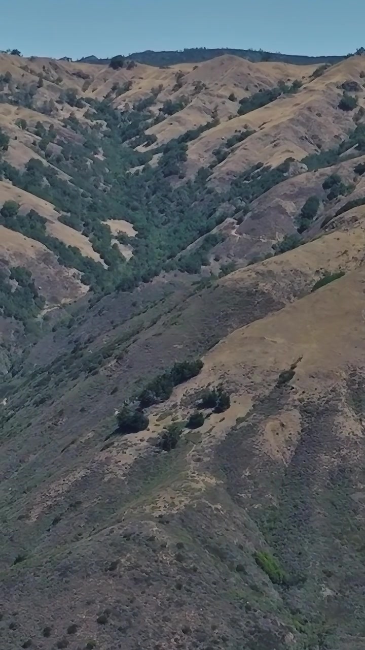 Pemandangan udara perbukitan bergelombang di lanskap California saat cuaca cerah.