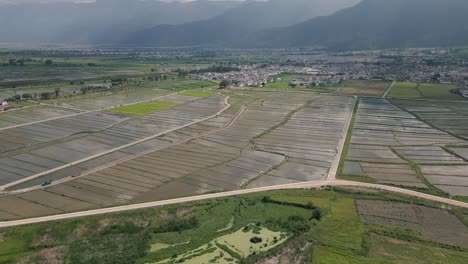 Imágenes-Cinematográficas-De-Drones-De-Los-Arrozales-De-Xi-Zhou-En-Dali,-Provincia-De-Yunnan-En-China