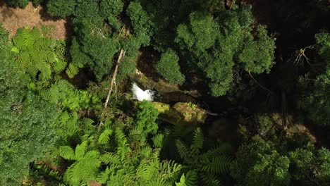 Lowering-Over-The-Cascades-At-The-Forest-In-Parque-das-Frechas-On-Agualva-In-Terceira-Island,-Azores-Portugal