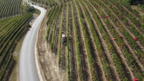 farmer harvesting vineyard with tractor machinery