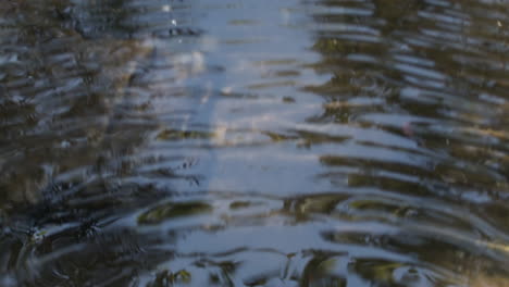 Slow-motion-medium-shot-of-a-stream-with-the-sky-and-trees-reflected-in-the-water