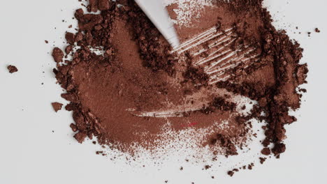 brown eyeshadow swatches and application