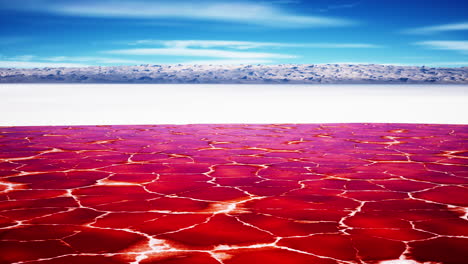 beautiful view of pink lake on summer day