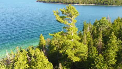 una toma de drone que revela la playa del paraíso de verano entre un bosque y el mar azul claro