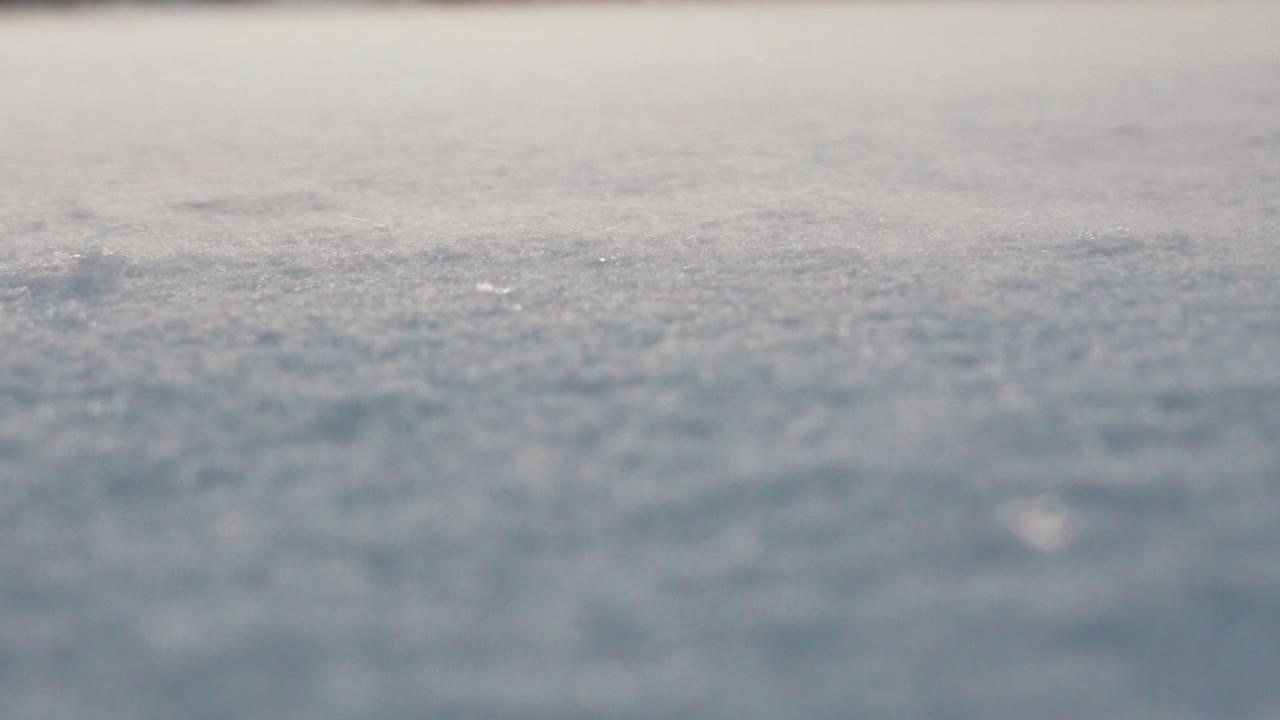 Snow particles being blown by strong wind in macro ground shot