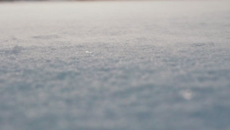 snow particles being blown by strong wind in macro ground shot