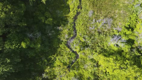 Bird's-eye-track-of-Ruddiman-Lagoon-in-the-Nims-neighborhood-of-Muskegon