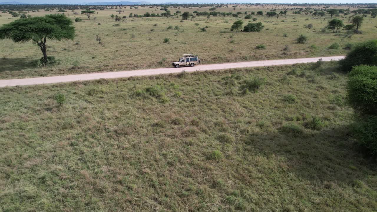 Auto durante un safari nel Serengeti, Tanzania.