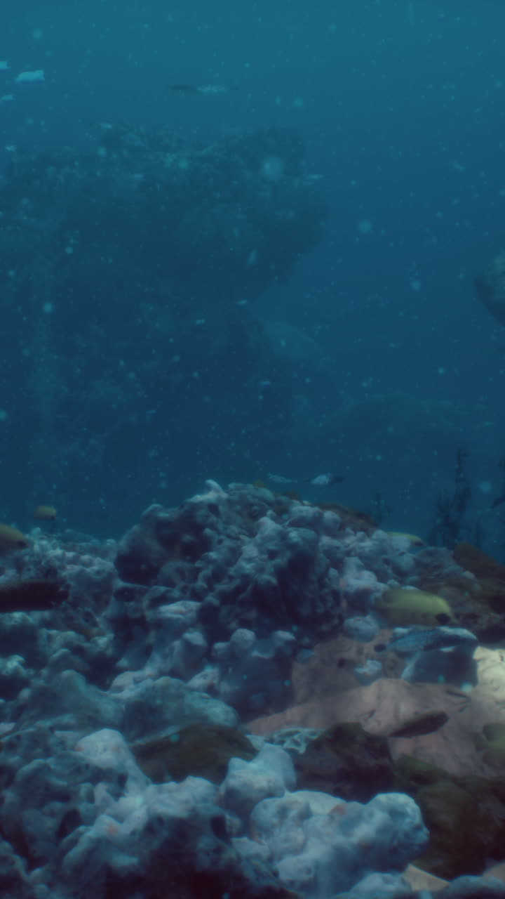 escena de arrecife de coral submarino con peces