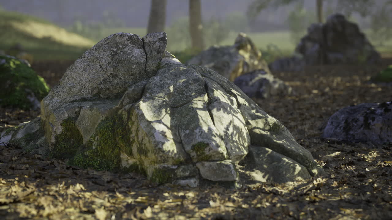 Large textured rocks surrounded by leaves in a serene outdoor setting