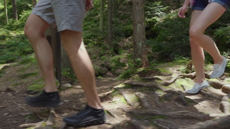 a couple of tourists are walking along a mountain path covered with the roots of large trees adventu