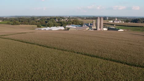 vuelo aéreo rápido sobre campo de maíz