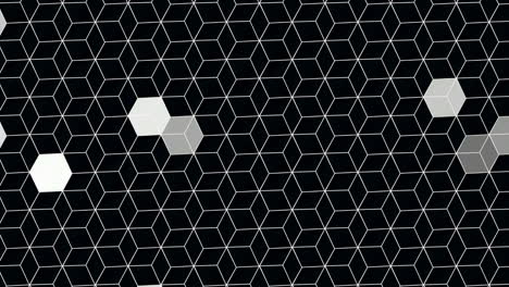 Motion-hexagon-with-abstract-background-5