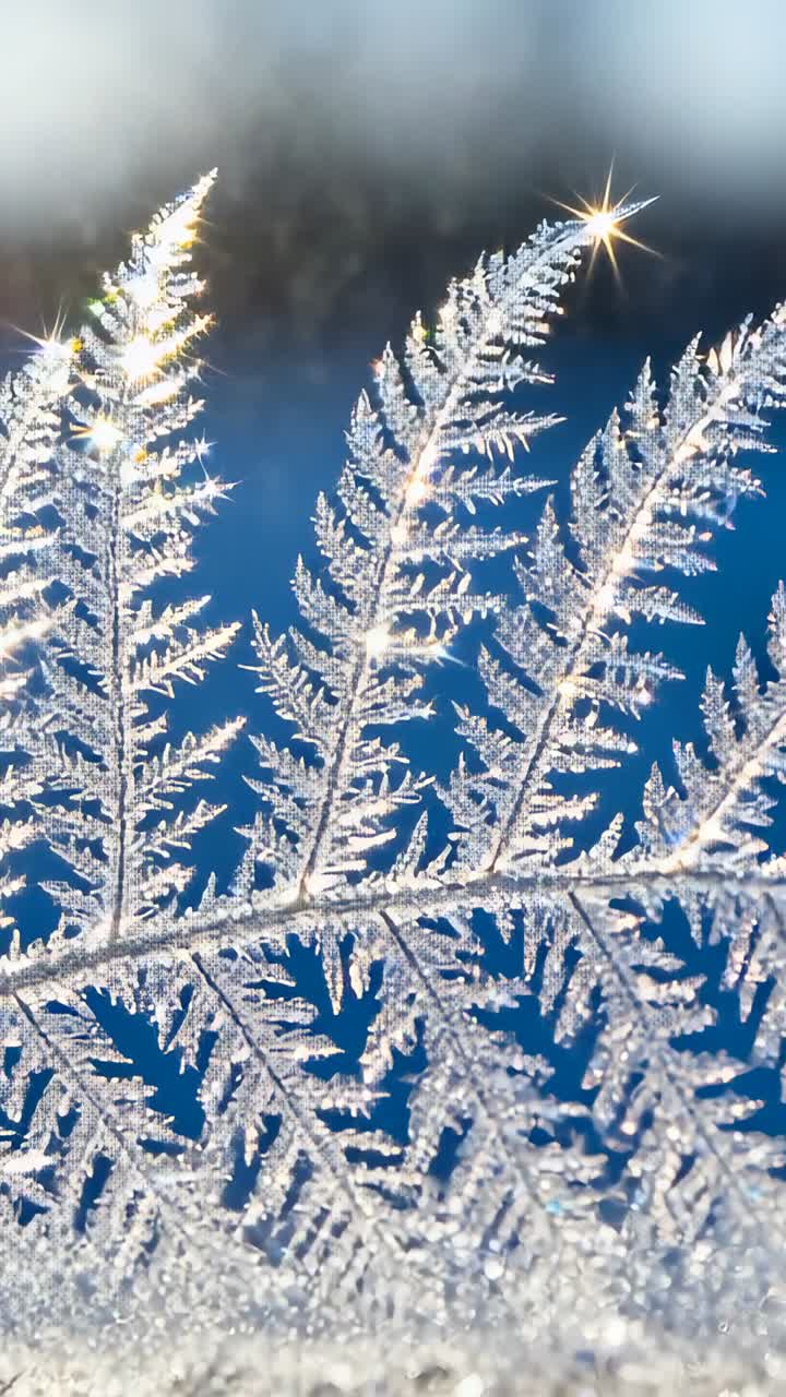 Vidéo verticale : Givre en forme de fougère sur une vitre changeant de mise au point et captant la lumière, créant des reflets d'étoiles pour un design.