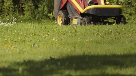 professional lawn mower with worker cutting the grass in a garden