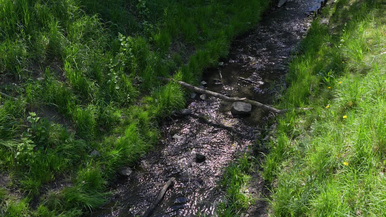 A gentle creek flows through a grassy park area, with sunlight reflecting off the water and scattered stones and branches along its path