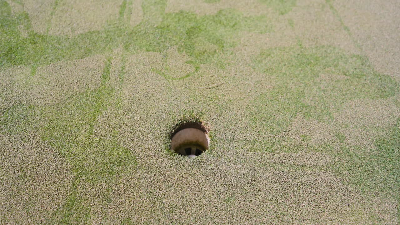 Male golf player playing golf and knocking golf ball into cup on golf course, copy space