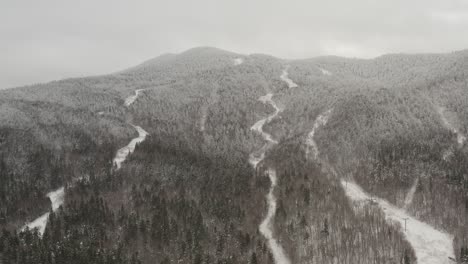 Spectacular-aerial-of-dense-forestry-with-rivers-cutting-through-the-landscape-in-Winter