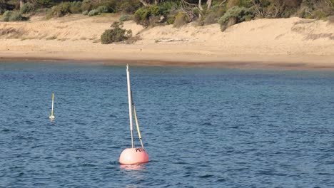 a buoy sways gently in coastal waters