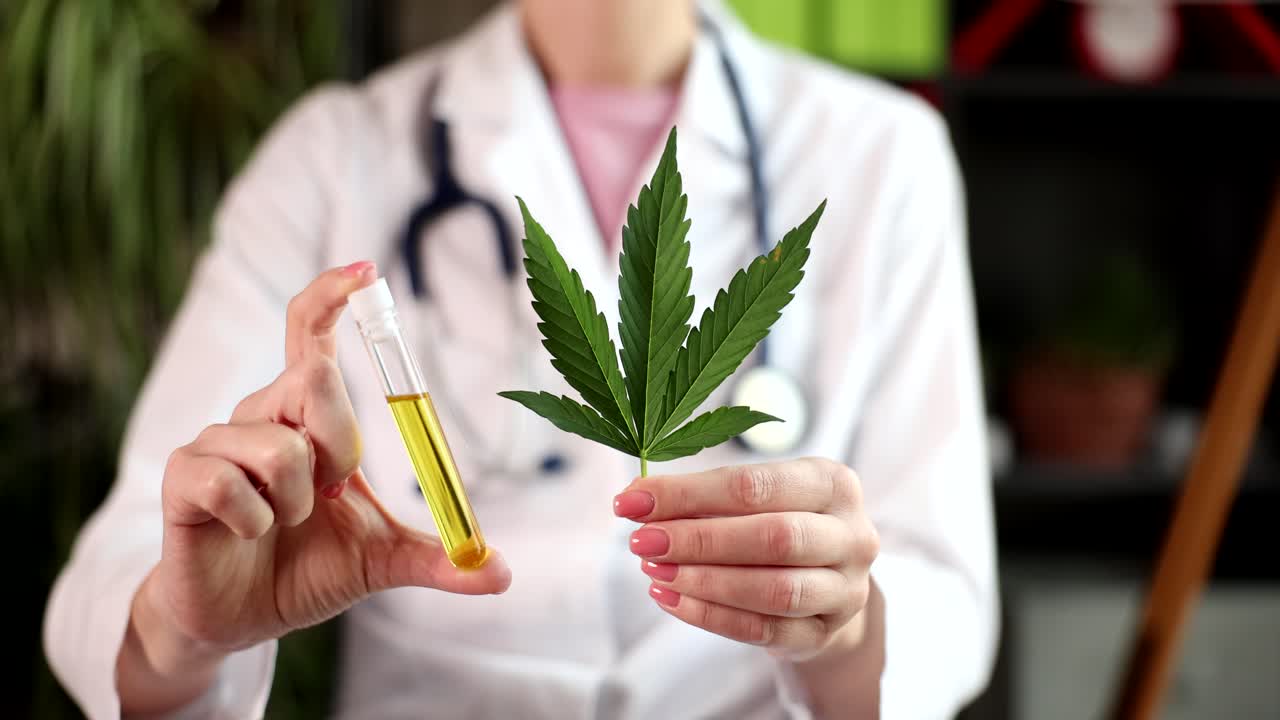 Doktor, kenevir yaprağı ve kenevir yağı içeren test tüpünü gösteriyor.