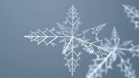 close-up of a detailed snowflake