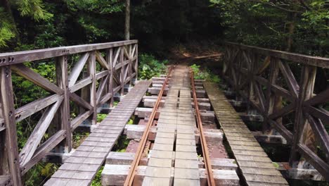 old logging rail bridge, hiking across yakushima through shiratani unsuikyo