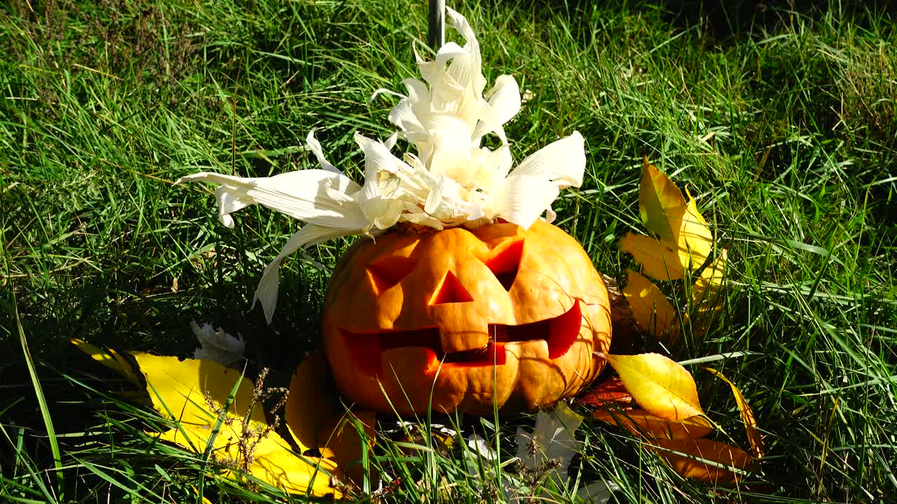 Calabaza espeluznante de Halloween. Rodaje en octubre.