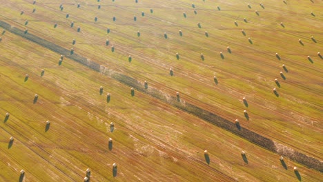 shooting from a quadcopter flying over the golden field with roll bales of wheat straw.