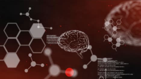 animación del procesamiento de datos sobre cerebros digitales sobre fondo rojo