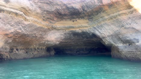 nido de pájaros del océano en la cueva de albufeira, portugal