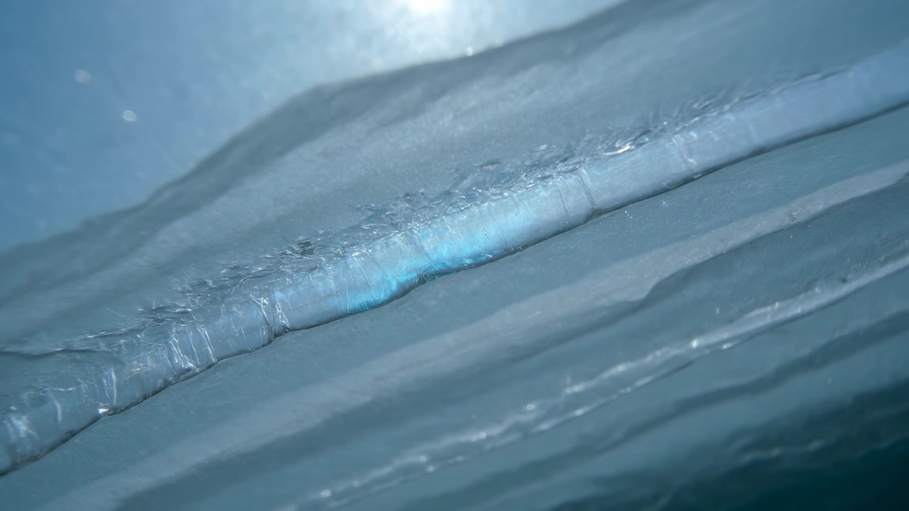 Showing ridged seam undulating from surface motion in blue water with bubbles sun glint blue patch