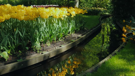 Diseño-De-Paisaje-De-Agua-Y-Tulipanes-Amarillos