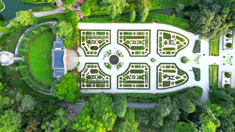 aerial video drone shot in europe on the garden flowers in summer