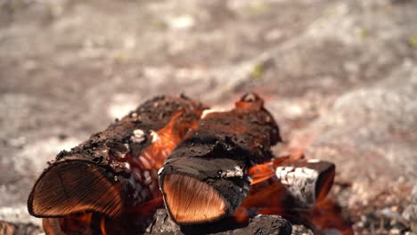 closeup of burning bonfire and stick with raw deer meat entering frame from the left after few seconds - outdoor sunny day food preparation and wilderness survival