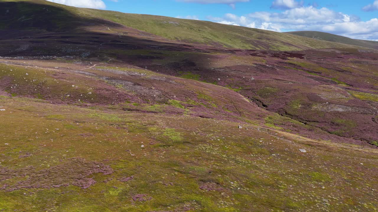 Drone glider nedad over lyngklædt dal og afslører snoet sti under klart dagslys og skyer