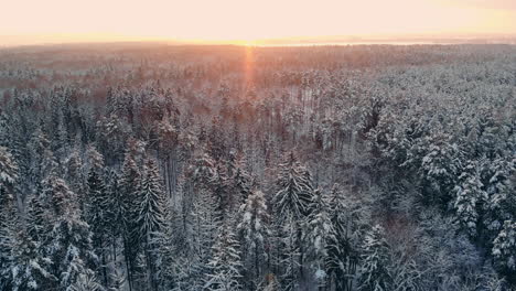 snow-falling.-winter-wonderland.-snowing-snowy.-sunset-dusk-sunshine.-forest-trees-woods-nature.-slow-motion.-winter-background.-romantic-wonderland.-beautiful-environment