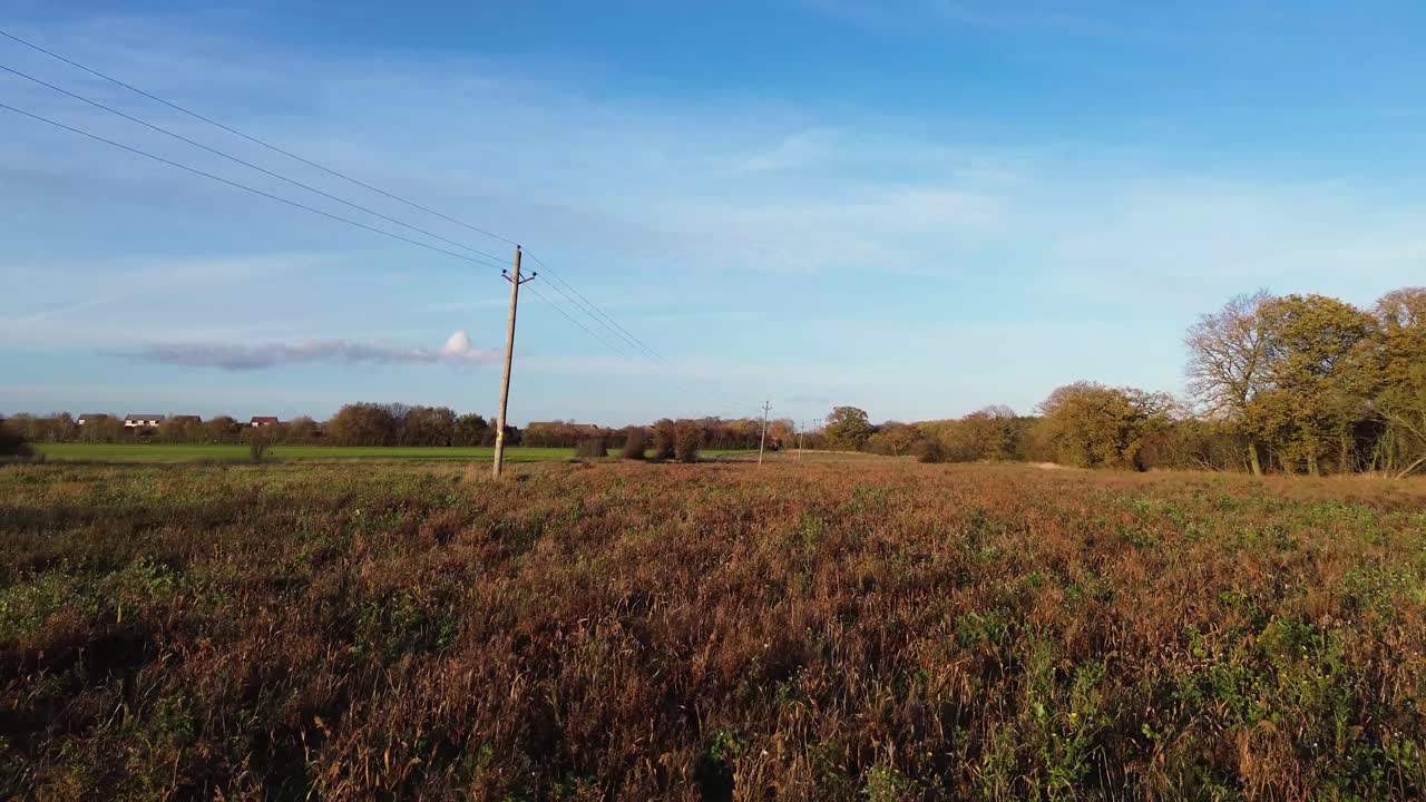 Dynamic swooping drone shot over UK countryside fields with autumn trees and rural power lines under clear sky