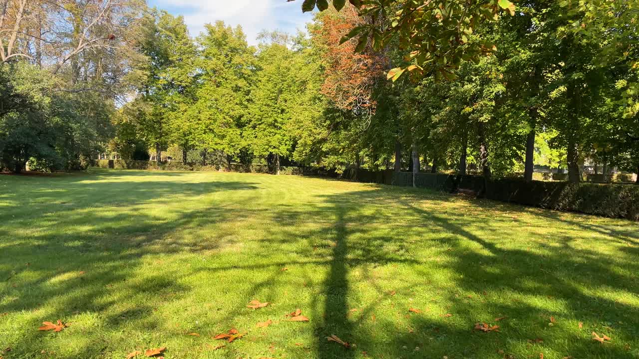 filmación de una zona de un jardín donde vemos la hierba bien cuidada y una gran variedad de árboles con diferentes colores en sus hojas, las sombras se proyectan en el suelo verde, es hermoso