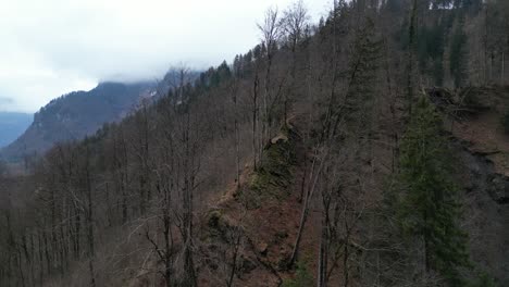 Aerial-wrap-around-leafless-scraggly-tree-branches-on-mountain-ridgeline-on-overcast-day