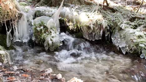 frozen water stream