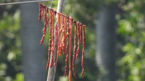 drying meat in sunrise - dry - food