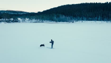 man on ski pulled by a dog on frozen lake in winter