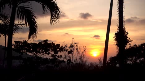 stunning slow motion scenery over tropical sunset with palm tree silhouette