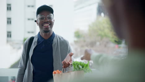 delivery, grocery and bag with a black man courier