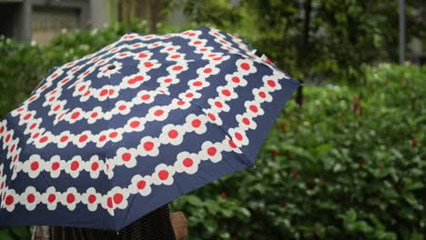 persona con paraguas florales en la lluvia