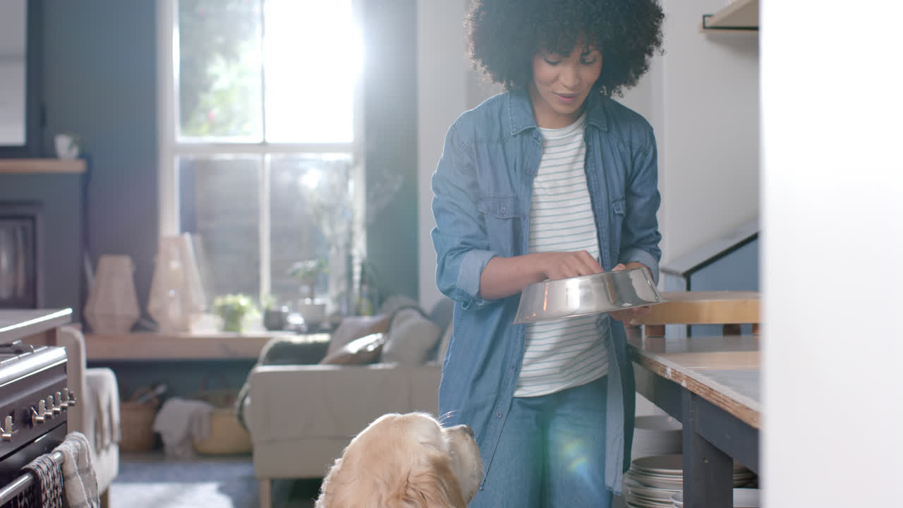 Happy biracial woman serving dog food at home, slow motion