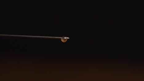 syringe needle with liquid